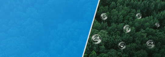 sustainability ecosystem case 1