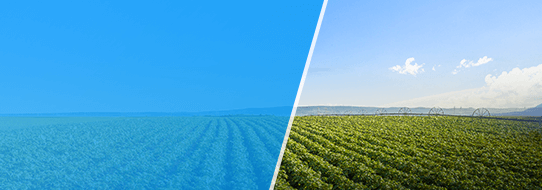 sustainability farming case 1