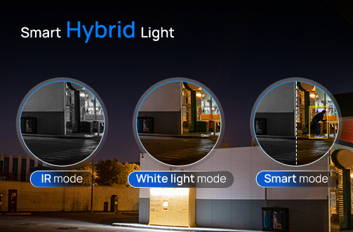 truecolor hybrid light
