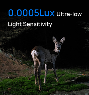 truecolor low light sensitivity