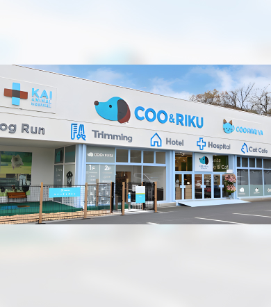 past winners cctv 1 shn