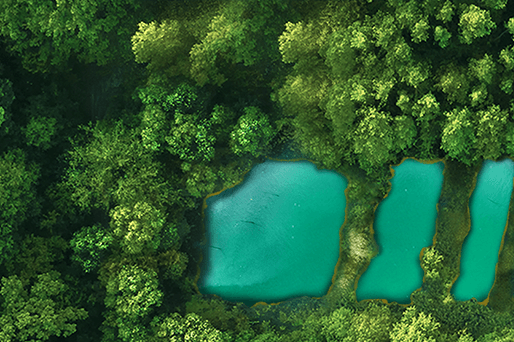 homepage sustainability campaign