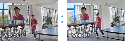 140dB Super WDR of Mini PTZ Dome Camera