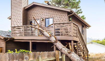 em320 tilt application tree monitoring