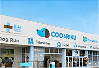 case japan pet store