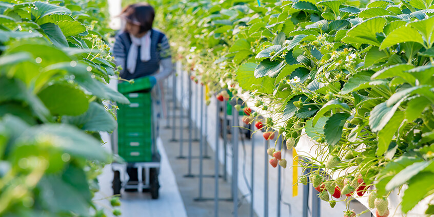 digital farming austria