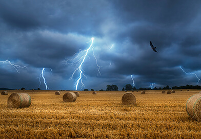 smart agriculture problem image 1