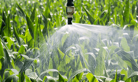 sustainability agriculture