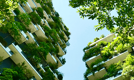 sustainability green building