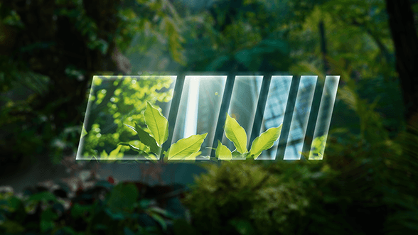 sustainability video cover