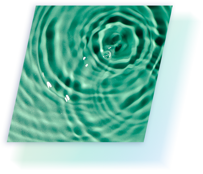 sustainabiltiy partners