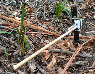 case forest moisture monitoring solution 1