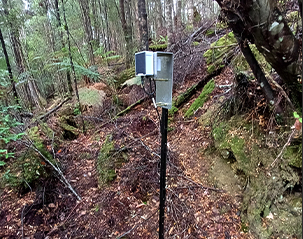 case forest moisture monitoring solution 2