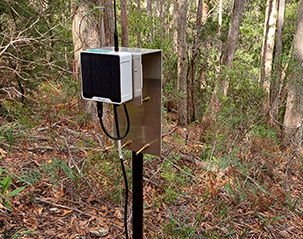 case forest moisture monitoring solution 3