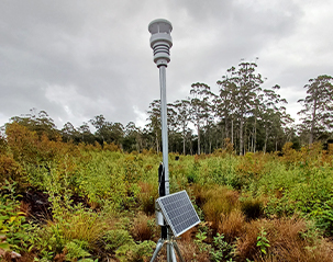 case forest moisture monitoring solution 5