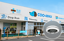 pet store chain case