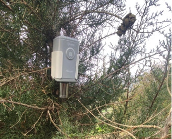 smart city upgrade in turkey em500 co2