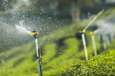 success stories australia background 4