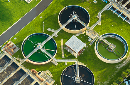 success stories australia background 5