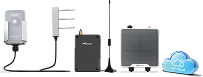 success stories australia cowork 3