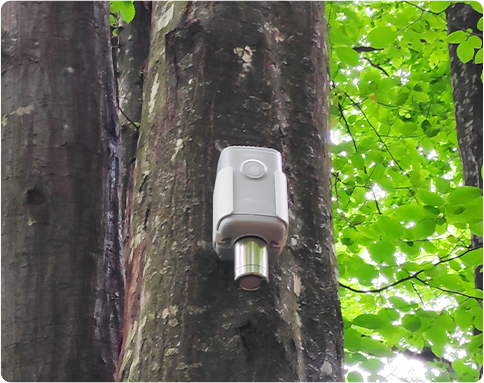 smart forest em500 1 pc