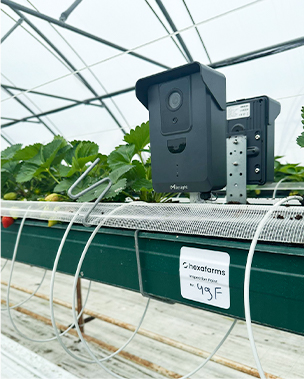 succes stories green house background 2