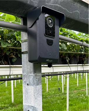 succes stories green house background 3