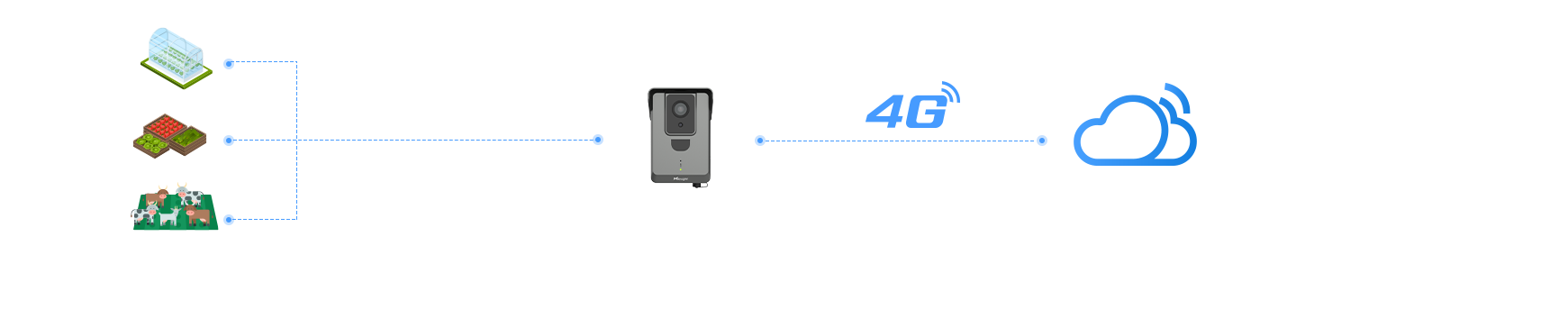 succes stories green house topology