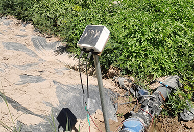 success stories potato planting realphoto1