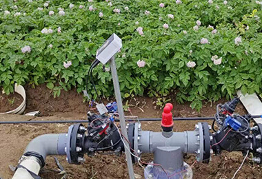 success stories potato planting realphoto2