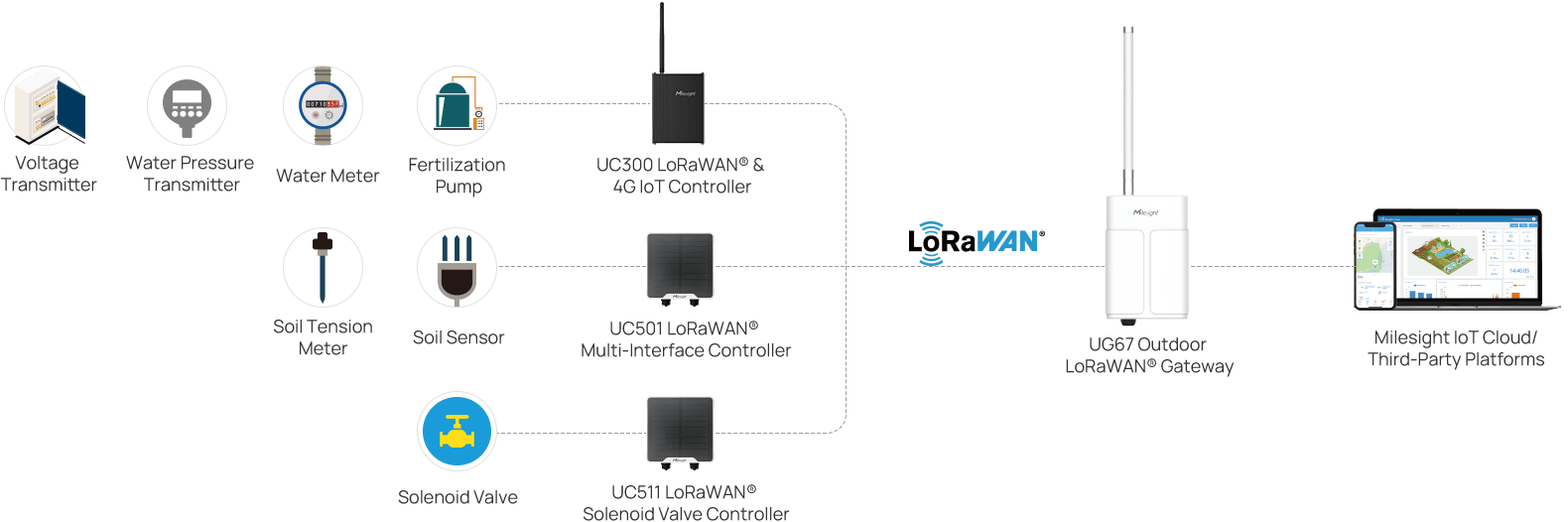 success stories potato planting topology