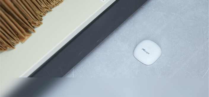 ws303 water leak detection