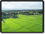 smart agriculture farmland