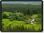 smart agriculture forestry