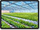 smart agriculture greenhouse