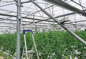 smart greenhouse 2