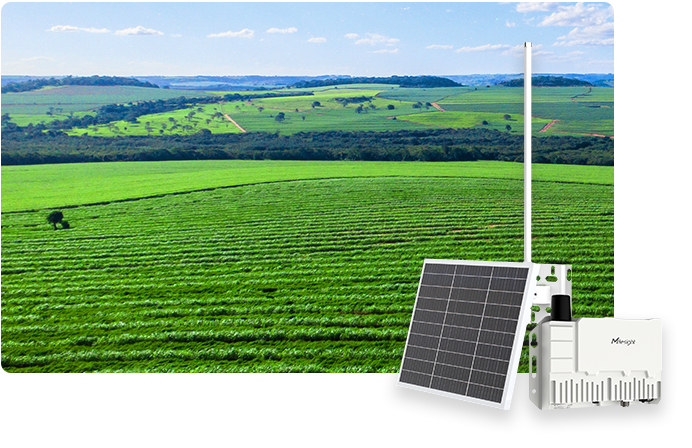 sg50 online sg50 online