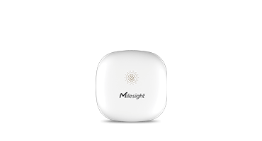 mini leak detection