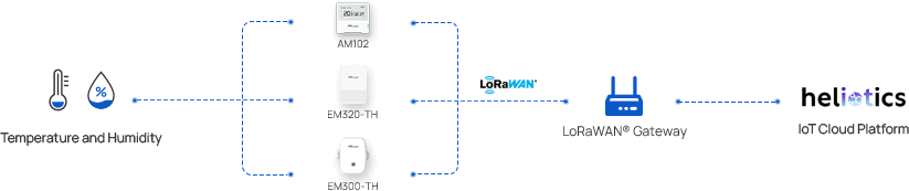 museum topology