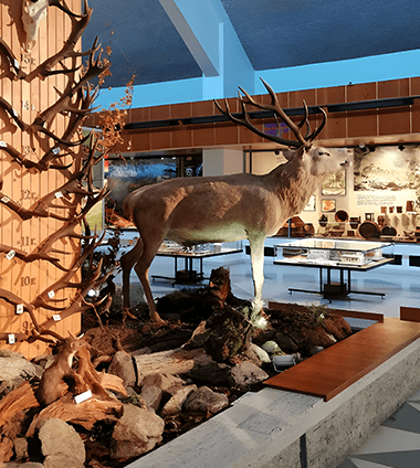 museum