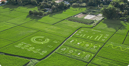 smart agriculture Smart Agriculture Solution