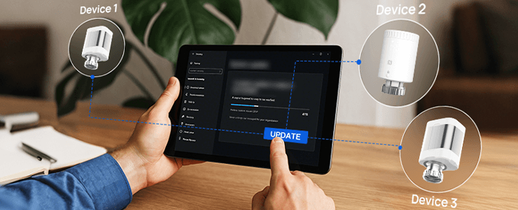 wt10x features fuota