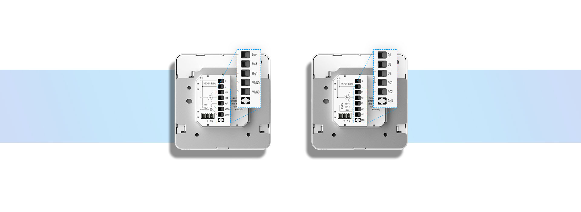 wt303 wt304 differentiation