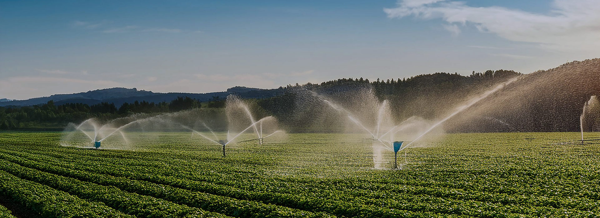 milesight smart irrigation
