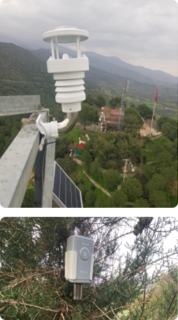 smart city iot network