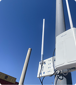 smart crane operations for turkish port