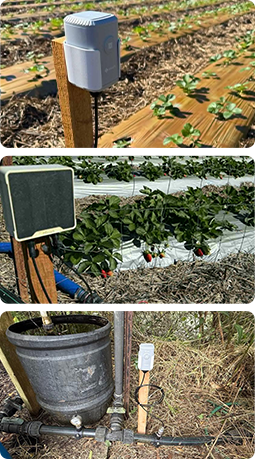 smart irrigation and farm automation