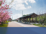 scenic area people counting scenic area people counting