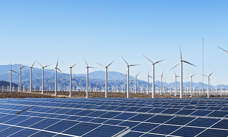 Generación renovable integrada a la planta