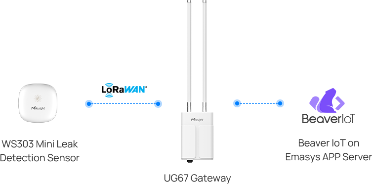 solution2 topology solution2 topology